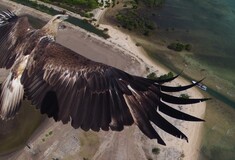 Οι καλύτερες αεροφωτογραφίες από drones για το 2014