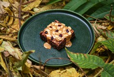 Brownie με φιστικοβούτυρο, καρυδόπιτα χωρίς σιρόπι: Δύο εύκολες συνταγές από τον Αντώνη Σελέκο