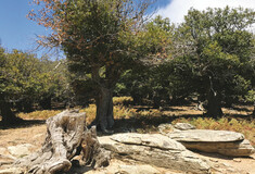 Ανανεώσιμη ενέργεια για ένα βιώσιμο μέλλον