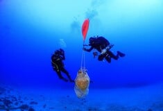 Aρχαία ναυάγια ανακαλύφθηκαν στον θαλάσσιο χώρο της Κάσου [ΕΙΚΟΝΕΣ]