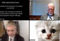 Ένα λάθος δικηγόρου σε τηλεδιάσκεψη τον «μεταμόρφωσε» σε ζώο: «Δεν είμαι γάτα!» έλεγε στο δικαστή