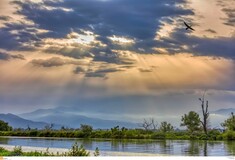 Επιστολή WWF για τις περιοχές Natura