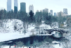 Στα λευκά η Νέα Υόρκη - Εντυπωσιακές εικόνες του χιονισμένου Σέντραλ Παρκ