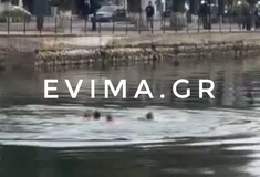 Εύβοια: Βούτηξε για τον σταυρό και τραυματίστηκε σοβαρά