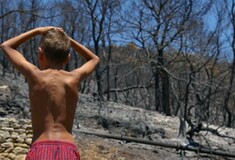 Ηλεία: Δεκάδες στρέμματα καμένης γης καταπατήθηκαν