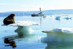 Στην Αρκτική, οι πάγοι έχουν μειωθεί στο μισό