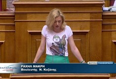 Συστάσεις στη Ραχήλ Μακρή για το ντύσιμο της στη βουλή (video)
