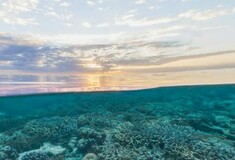 Εξερευνήστε τη Χαβάη από το σπίτι σας