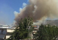 Φωτιά στον Καρέα και στο Κορωπί