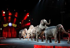 Τέλος εποχής για τους ελέφαντες του Ringling Bros- Το αμερικανικό τσίρκο τερματίζει την ατραξιόν