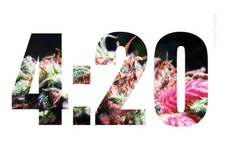 Πώς το 4:20 έγινε ο κωδικός της μαριχουάνας