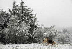 Χιόνια στο Ωραιόκαστρο Θεσσαλονίκης