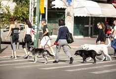 Το Τελ Αβίβ εγκαινιάζει το «Digi-Dog», την πρώτη ψηφιακή υπηρεσία για σκύλους