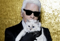 Η διάσημη γάτα του Karl Lagerfeld γίνεται (πανάκριβο) λούτρινο ζωάκι