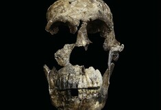 Ο Homo naledi, ο άγνωστος «συγγενής» του ανθρώπου αλλάζει όλα όσα ξέραμε για την εξέλιξη του είδους μας