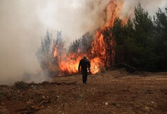 Αναξέλεγκτη η μάχη με τις φλόγες στην ανατολική Αττική- Επεκτείνεται κι άλλο το μέτωπο της πυρκαγιάς (upd)