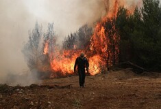 Μεγάλη φωτιά στην Κέρκυρα- Κινδυνεύουν ξενοδοχεία και σπίτια