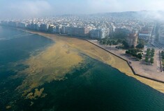 Πρωτοφανείς εικόνες στον Θερμαϊκό - Drone κατέγραψε πόσο μεγάλο είναι το πρόβλημα με το φυτοπλαγκτόν