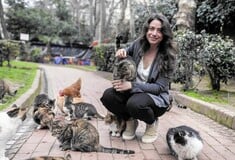 Γιατί αγαπάνε τόσο τις γάτες στην Κωνσταντινούπολη; Η σκηνοθέτης που τις ακολούθησε εξηγεί