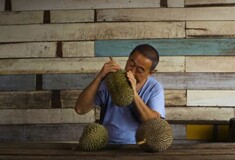 Durian: Γνωρίστε το πιο δύσοσμο φρούτο στον κόσμο