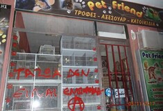 Αντισπισιστές έκαναν επιθέσεις σε κρεοπωλεία και petshop στο Πέραμα και το Κερατσίνι