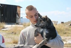 Τα αδέσποτα της Αθήνας