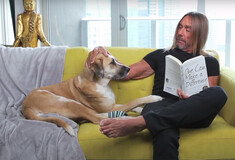 Iggy Pop και Nick Cave ενώνουν δυνάμεις στην νέα συγκινητική διαφήμιση της PETA
