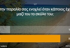 ΑΠΟΤΕΛΕΣΜΑΤΑ ΓΚΑΛΟΠ: Αυτά είναι τα πιο ενοχλητικά πράγματα στην παραλία