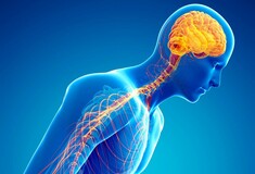 Έρευνα: Ακόμη και μία μόνο διάσειση στο κεφάλι μπορεί να αυξήσει τον κίνδυνο για Πάρκινσον