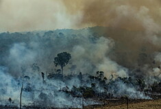 Εκατοντάδες νέες φωτιές στη Βραζιλία ενώ η οργή για τον Αμαζόνιο μεγαλώνει