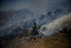 Εύβοια: Νέα μέτωπα και αναζωπυρώσεις δυσκολεύουν το έργο της πυροσβεστικής