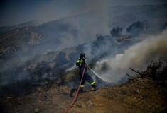 Εύβοια: Νέα μέτωπα και αναζωπυρώσεις δυσκολεύουν το έργο της πυροσβεστικής