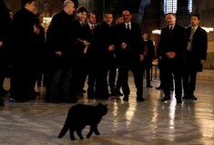 H μαύρη γάτα στην Αγιά Σοφιά την ώρα της επίσκεψης του Τσίπρα