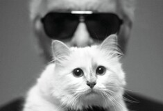 Σουπέτ: Πώς η γάτα που λάτρευε ο Καρλ Λάγκερφελντ μπορεί σήμερα να έγινε πολύ πλούσια