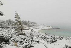 Το χιόνι έφτασε στις παραλίες - Εντυπωσιακές φωτογραφίες από το λευκό τοπίο