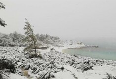 Το χιόνι έφτασε στις παραλίες - Εντυπωσιακές φωτογραφίες από το λευκό τοπίο