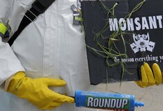 Monsanto: Τεράστια αποζημίωση σε ζευγάρι με καρκίνο - Η τέταρτη καταδίκη για τη γλυφοσάτη