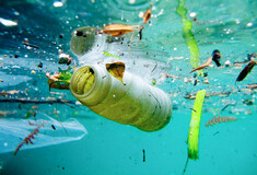 Τα σκουπίδια που γεμίζουν τις ελληνικές θάλασσες - Τα νέα στοιχεία είναι δυσάρεστα
