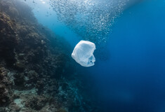 WWF: Σοκαριστικά στοιχεία για τα πλαστικά στη Μεσόγειο – 570.000 τόνοι καταλήγουν στη θάλασσα