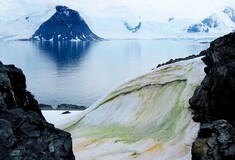 Έρευνα: Η κλιματική αλλαγή «πρασινίζει» την Ανταρκτική