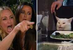 Το ίντερνετ το λάτρεψε και τώρα το meme «Woman Yelling At A Cat» έγινε βίντεο