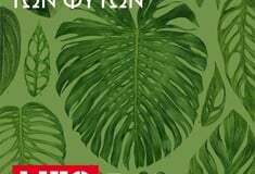 Podcast/ Για να πιάσει ένα φυτό, πρέπει να το κλέψεις