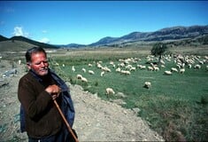 Οι Βλάχοι της Ηπείρου δεν μιλούν πια βλάχικα