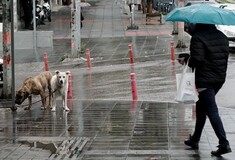 Καιρός: Έρχονται νέες βροχές και καταιγίδες- Πού και πότε θα εκδηλωθούν