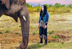 Έτοιμο το ντοκιμαντέρ με τη Σερ και τον πιο μοναχικό ελέφαντα του κόσμου