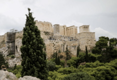 Αγχουσέλα η ποικιλόχρωμη & καμπανούλα η δραβόφυλλη: 220 είδη φυτών γύρω από την Ακρόπολη