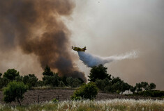 Μητσοτάκης: Οι 18 περιοχές που κινδυνεύουν από πυρκαγιές- Πολλά κομμένα δέντρα δεν έχουν καθαριστεί
