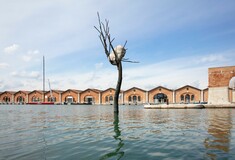 Η λεύκα που «ακούει» τη φωνή του κόσμου, στη Μπιενάλε της Βενετίας από τον Τζουζέπε Πενόνε
