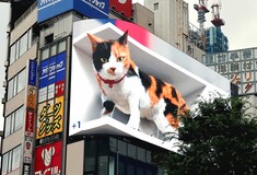 «Γάτα της Σιντζούκου»: Η πελώρια 3D κάλικο που κοιτάζει « αφ' υψηλού» τους περαστικούς του Τόκιο 