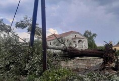 Καρδίτσα: Χαλάζι και ισχυροί άνεμοι - Έπεσαν δέντρα και σκεπές [ΕΙΚΟΝΕΣ & ΒΙΝΤΕΟ]